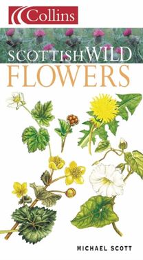 Scottish Wild Flowers