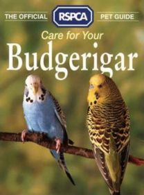 The Official Rspca Pet Guide - Care for Your Budgerigar