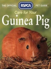 Official RSPCA Pet Guide - Care for your Guinea Pig