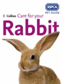 Care for Your Rabbit