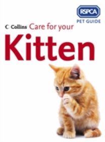 Care for Your Kitten