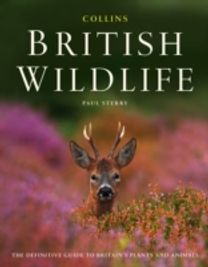 Collins British Wildlife