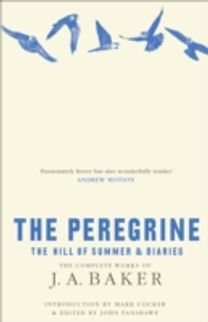 The Peregrine