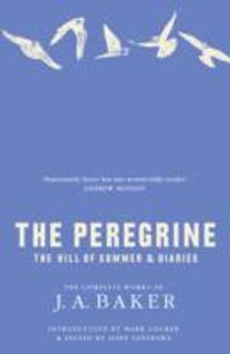The Peregrine
