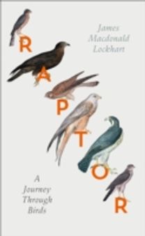 Raptor