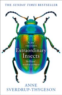 Extraordinary Insects