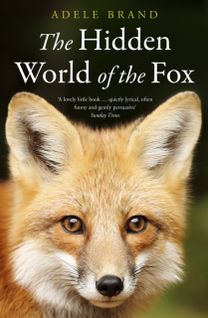 Hidden World of the Fox