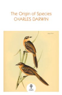 Origin of Species