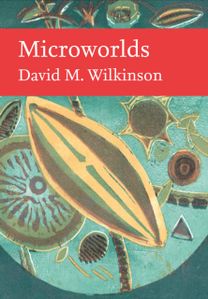 Microworlds