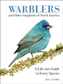Warblers and Other Songbirds of North America