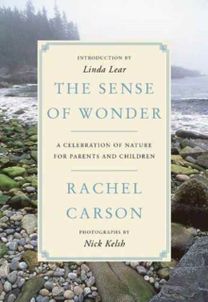 Sense of Wonder