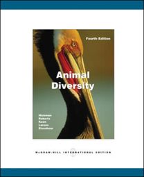 Animal Diversity Animal Diversity