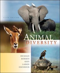Animal Diversity Animal Diversity