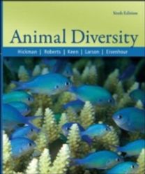 Animal Diversity Animal Diversity
