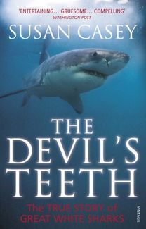 Devil's Teeth