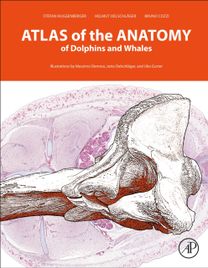 Atlas of the Anatomy of Dolphins and Whales Atlas of the Anatomy of Dolphins and Whales