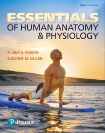 Essentials of Human Anatomy & Physiology Essentials of Human Anatomy & Physiology