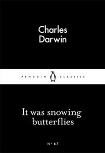 It was Snowing Butterflies