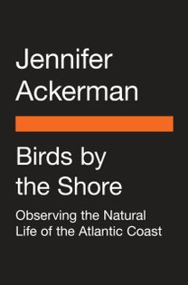 Birds by the Shore