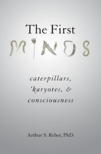 First Minds