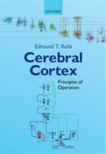 Cerebral Cortex