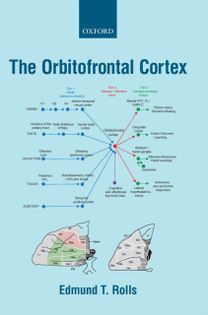 Orbitofrontal Cortex