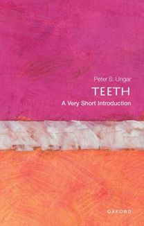 Teeth