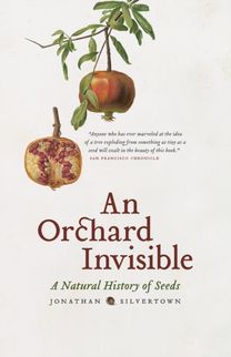 Orchard Invisible