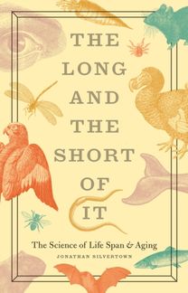 Long and the Short of It