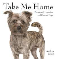 Take Me Home!