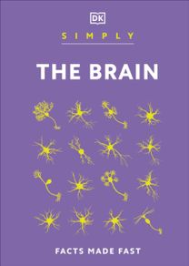 Simply the Brain