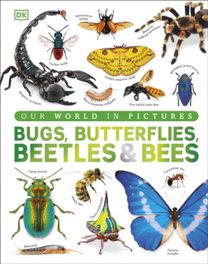 Bugs, Butterflies, Beetles and Bees