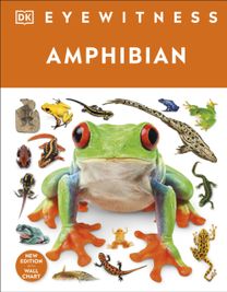 Eyewitness Amphibian