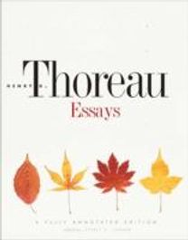Essays