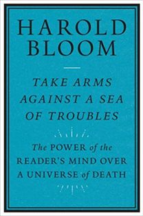 Take Arms Against a Sea of Troubles