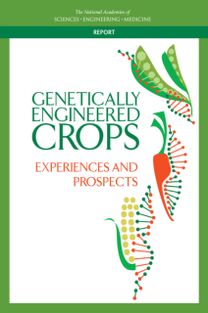 Genetically Engineered Crops