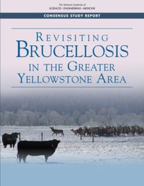 Revisiting Brucellosis in the Greater Yellowstone Area Revisiting Brucellosis in the Greater Yellowstone Area