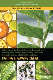 Review of the Citrus Greening Research and Development Efforts Supported by the Citrus Research and Development Foundation Review of the Citrus Greening Research and Development Efforts Supported by the Citrus Research and Development Foundation