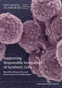 Supporting Responsible Innovation of Synthetic Cells