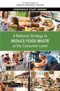National Strategy to Reduce Food Waste at the Consumer Level National Strategy to Reduce Food Waste at the Consumer Level