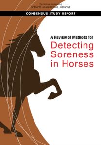 Review of Methods for Detecting Soreness in Horses Review of Methods for Detecting Soreness in Horses
