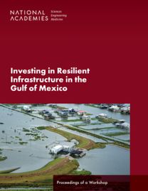 Investing in Resilient Infrastructure in the Gulf of Mexico