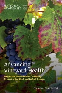 Advancing Vineyard Health Advancing Vineyard Health