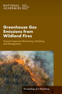 Greenhouse Gas Emissions from Wildland Fires