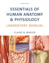 Essentials of Human Anatomy and Physiology Essentials of Human Anatomy and Physiology