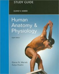 Study Guide for Human Anatomy and Physiology Study Guide for Human Anatomy and Physiology