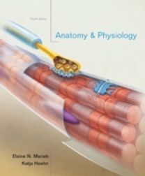 Anatomy and Physiology Anatomy and Physiology