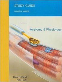 Study Guide for Anatomy and Physiology Study Guide for Anatomy and Physiology