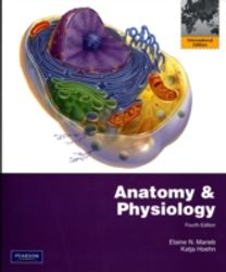 Anatomy and Physiology with Interactive Physiology 10-System Suite Anatomy and Physiology with Interactive Physiology 10-System Suite