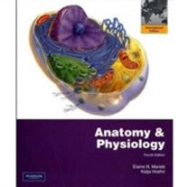 Anatomy & Physiology Anatomy & Physiology